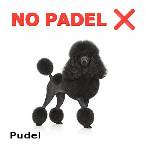 This is no Padel: Das ist ein Pudel